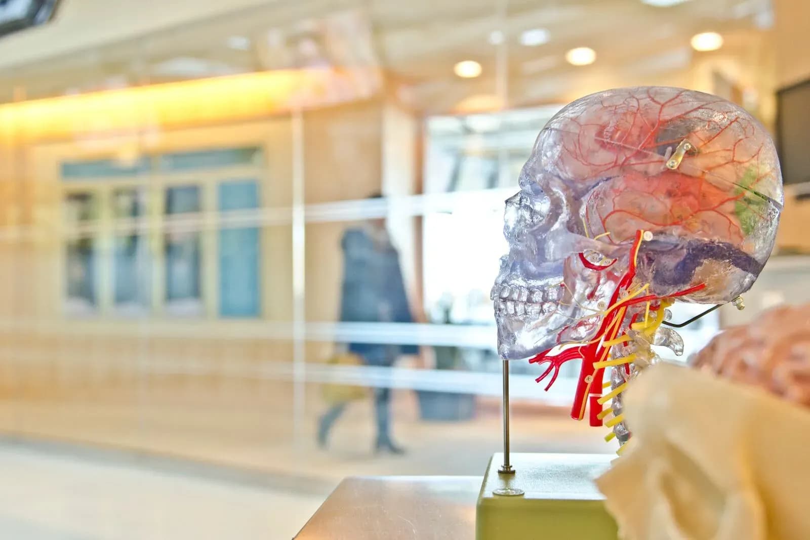 Is ADHD Linked to Other Mental Health Conditions?